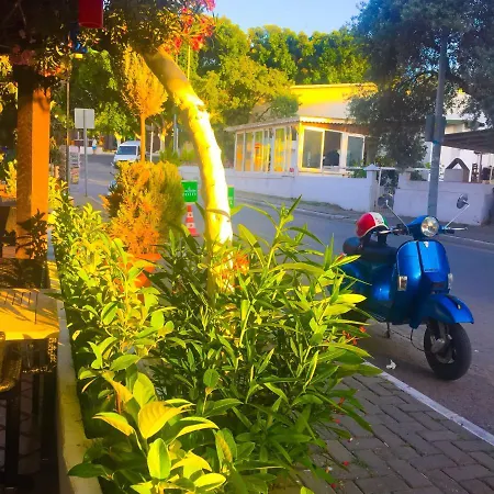 卡姆利科斯克公寓酒店 招待所 3*