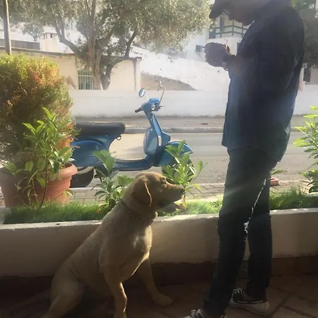 Pensiune Camlikosk Bodrum