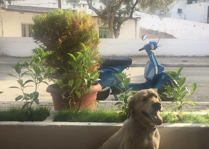 Camlikosk ゲストハウス 3*