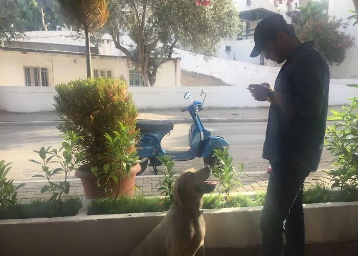 Camlikosk ゲストハウス 3*