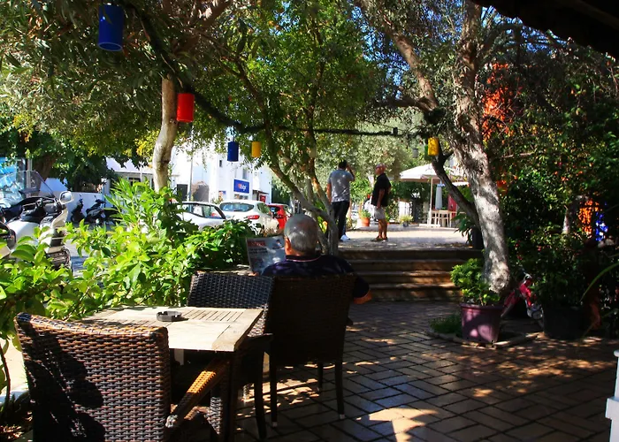 ゲストハウス Camlikosk 3*