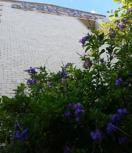 ゲストハウス Camlikosk