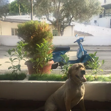 Camlikosk Gæstehus 3*