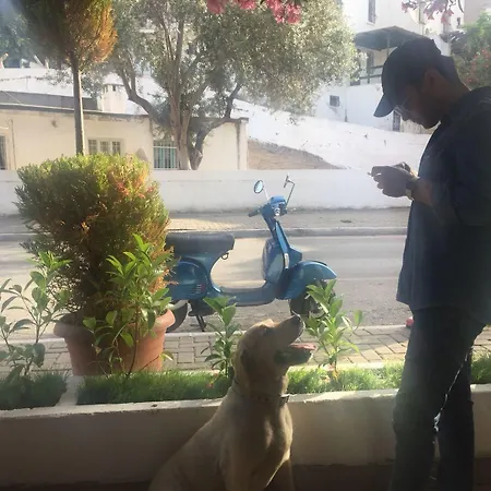 Camlikosk Gæstehus 3*