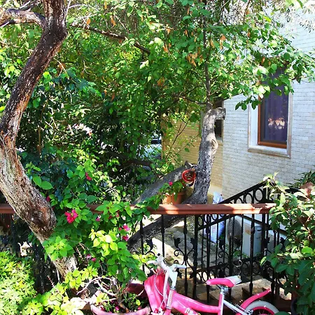 Camlikosk 3* Bodrum