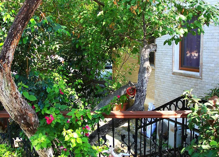 Camlikosk 3* Bodrum