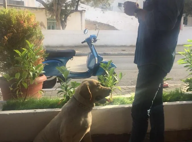 Pensjonat Camlikosk Bodrum