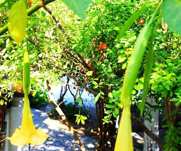 Pensjonat Camlikosk Bodrum