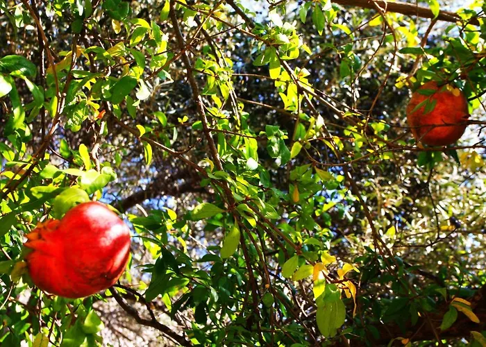 Camlikosk Pensjonat Bodrum